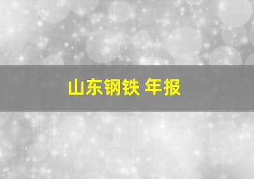 山东钢铁 年报